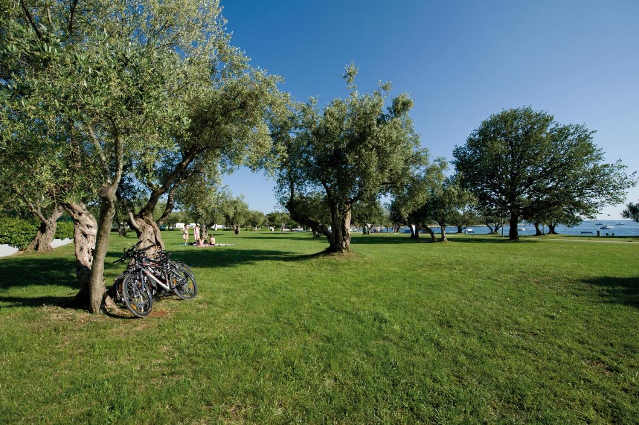 Maistra Camping Polari Mobile homes Rovigno Esterno foto